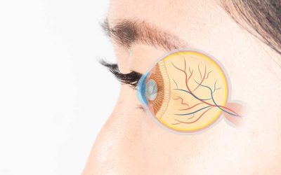 Természetes támogatás a látásnak – Óvja a szemét tudatos választással!
