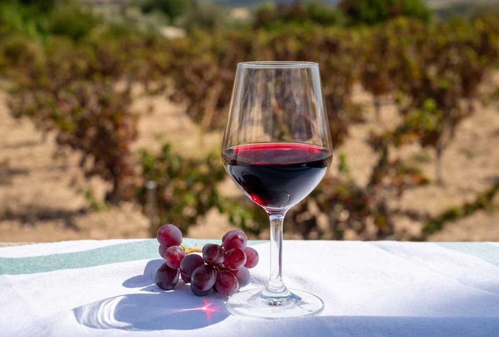 A jó bor titka a részletekben rejlik – Adjon karaktert a bornak élesztővel!