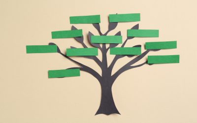 Időkapszula a nappaliban – Miért éli reneszánszát a családfa ábra készítése?